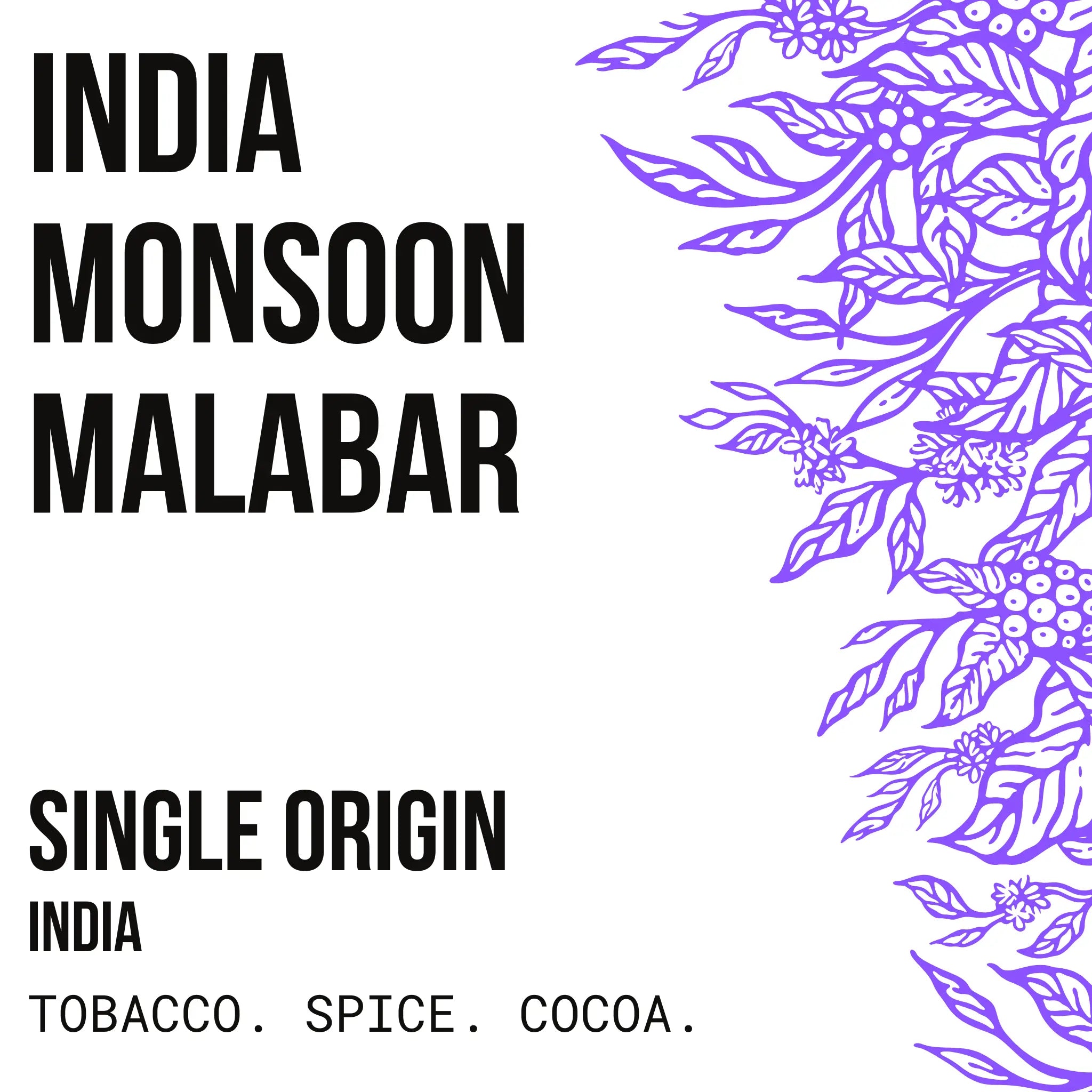 India Monsoon Malabar